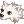 柴犬帽子